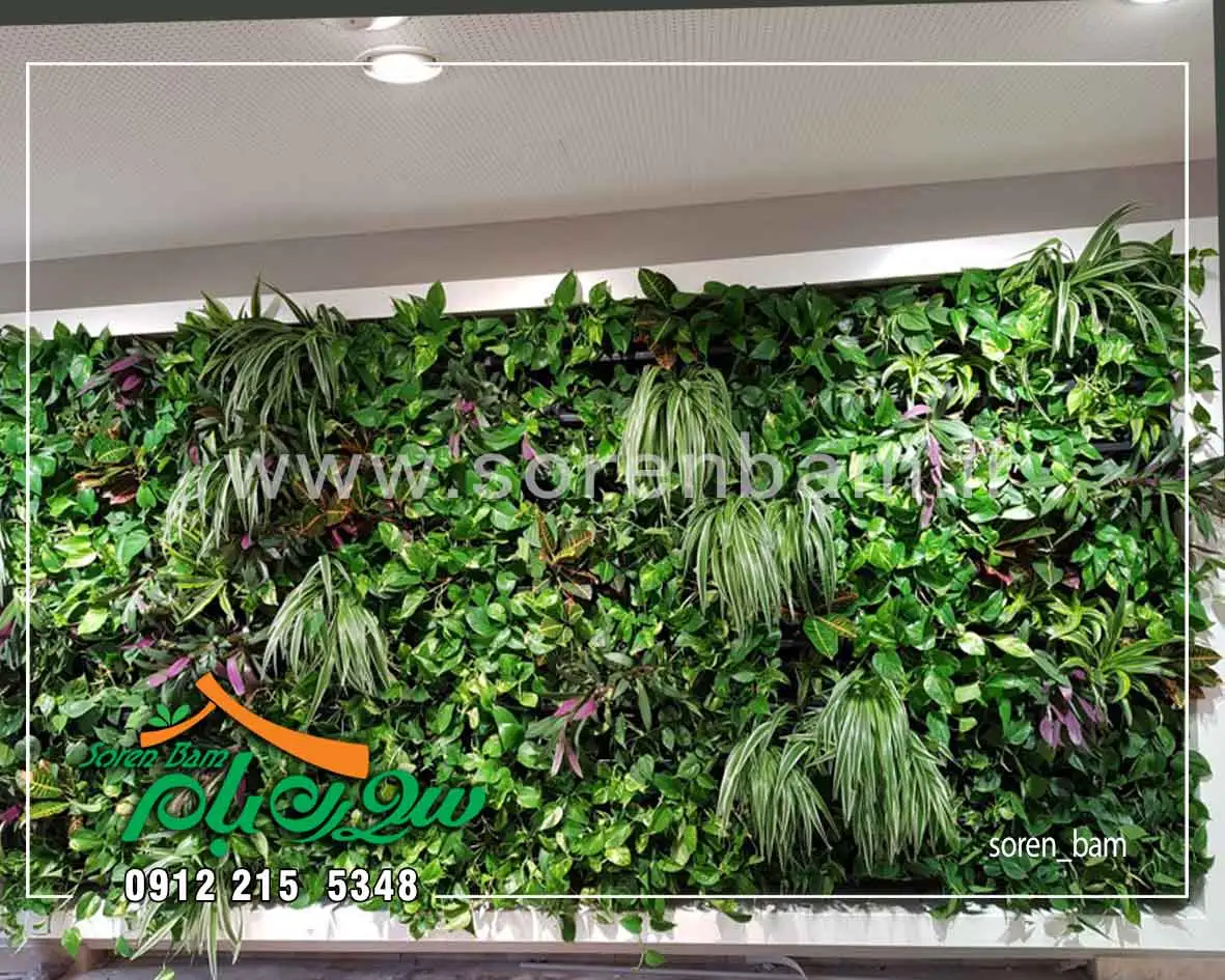 نحوه اجرای دیوار سبز طبیعی و مصنوعی