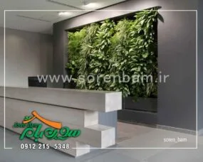 کاشت گل و گیاهان در دیوار سبز