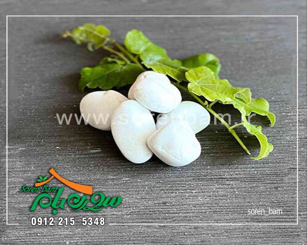 انواع سنگ قلوه رودخانه ای