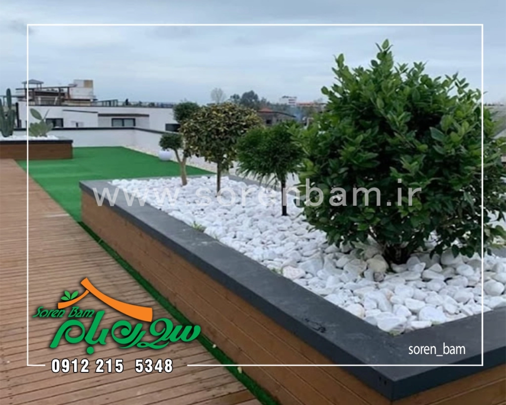 طراحی دیوار سبز Green Wall