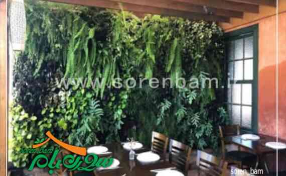 دیوار سبز کافه ژوانی در اهواز
