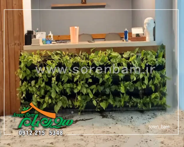 دیوار سبز طبیعی مطب زیبایی دکتر عطرلی