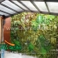 اجرای دیوار سبز مصنوعی شهریار