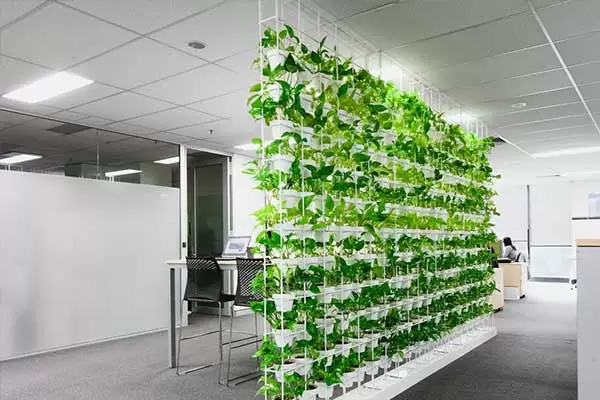 زیبا سازی ساختمان با دیوار سبز