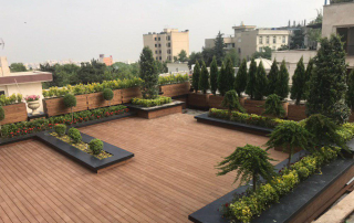 اجرای بام سبز