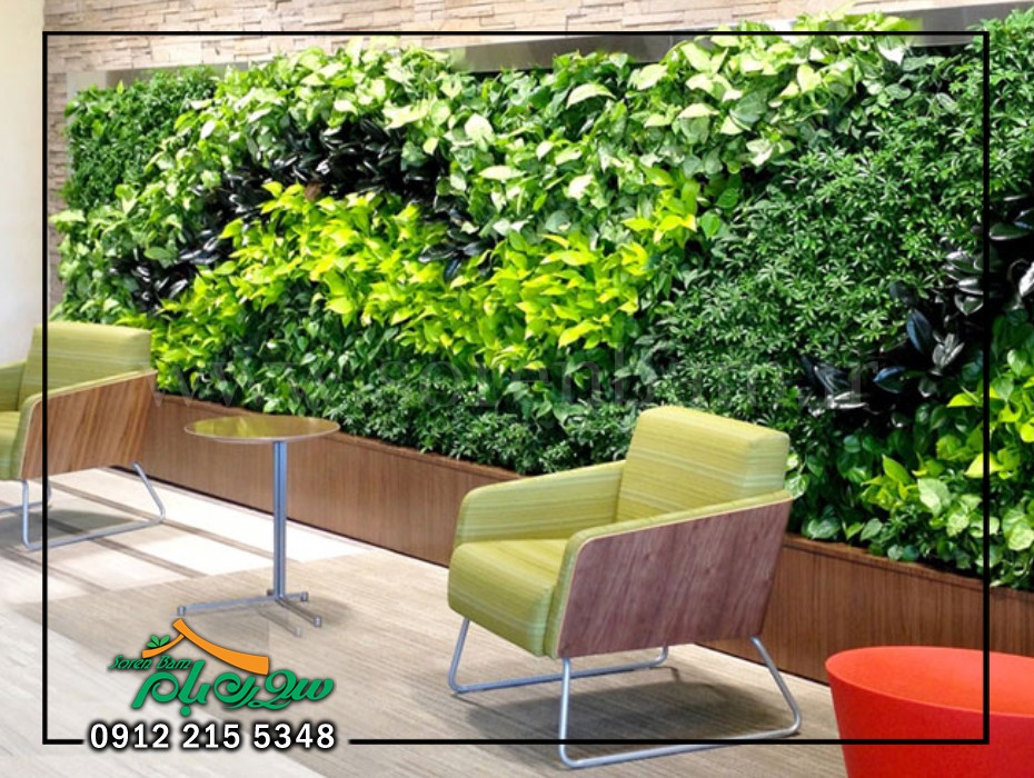 دیوار سبز طبیعی با پتوس