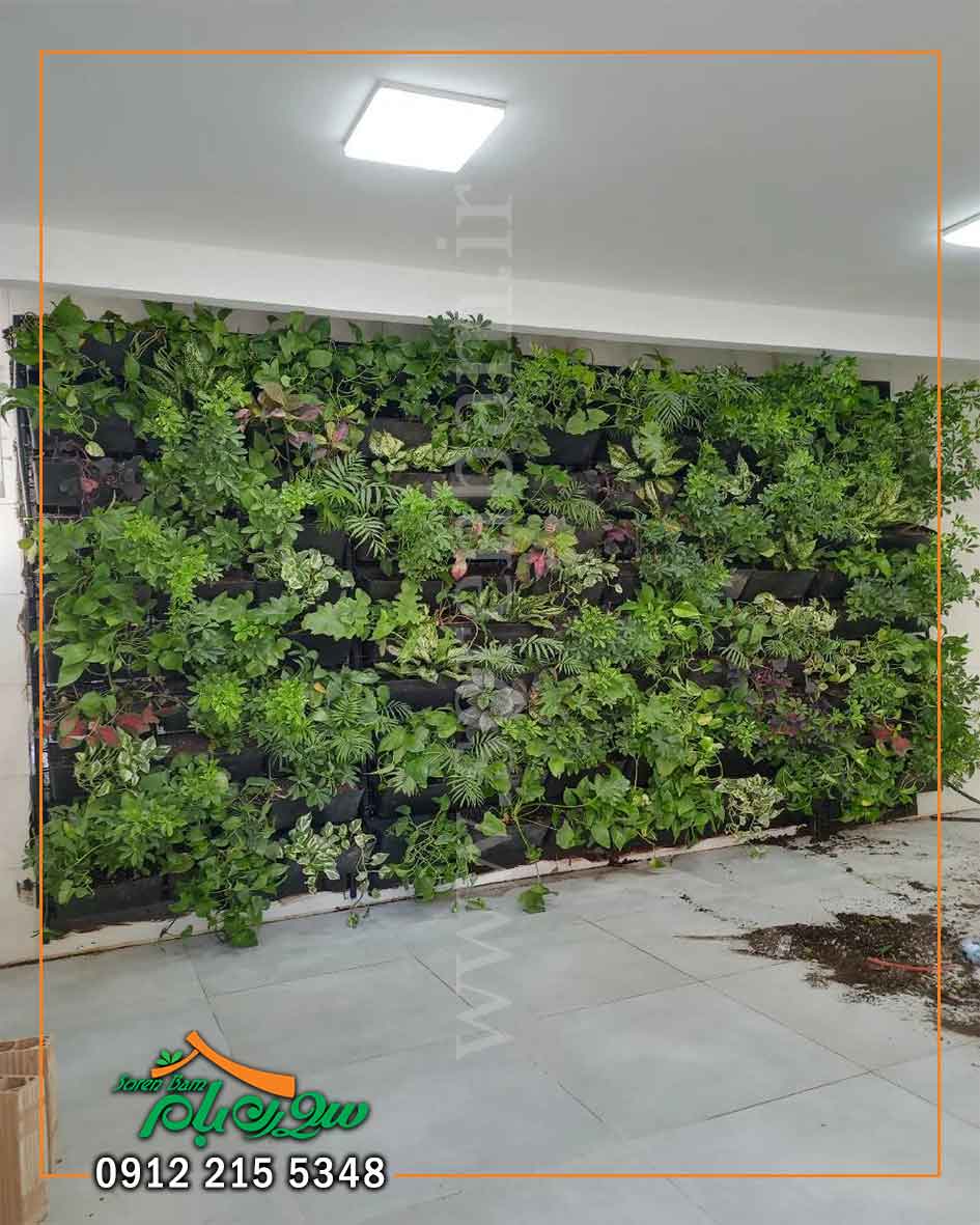 پروژه دیوار سبز گیشا