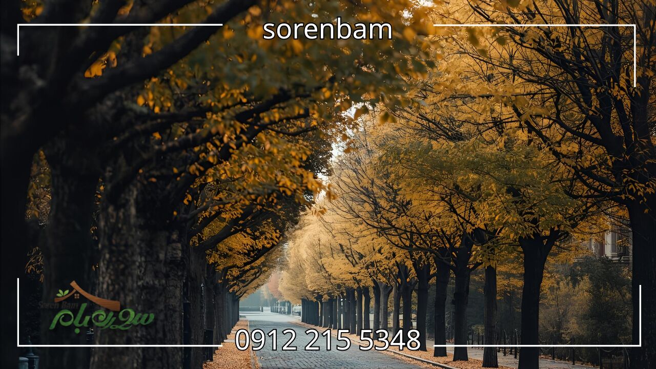 درختان زینتی خزان دار