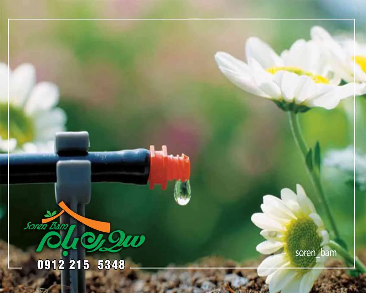 آبیاری قطره ای یا موضعی