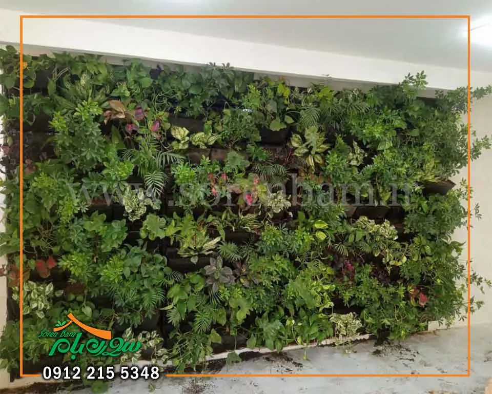 نحوه ساخت و اجرا گرین وال طبیعی