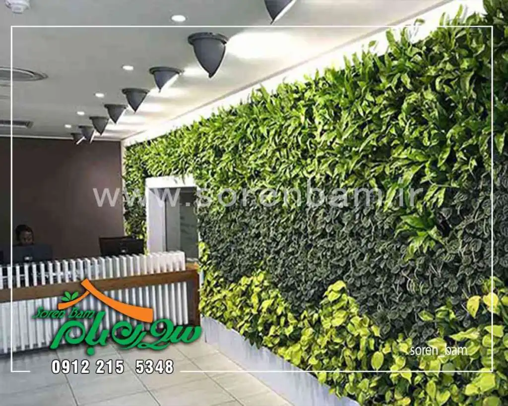 قیمت گرین وال طبیعی