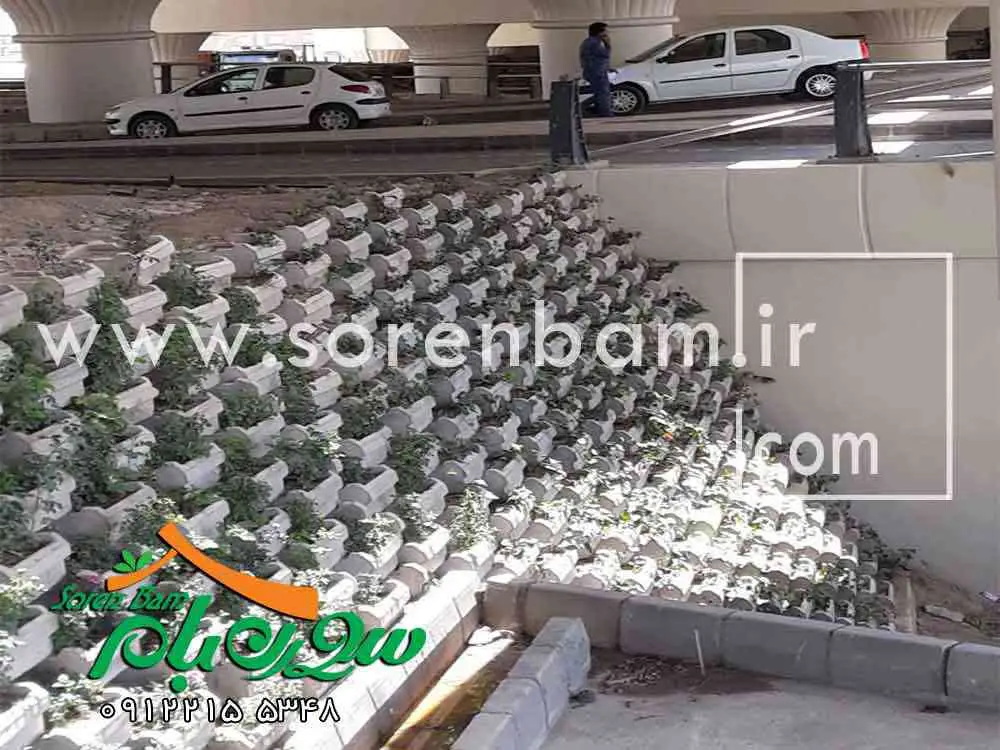 طراحی و تولید فلاورباکس بتنی سیرجان