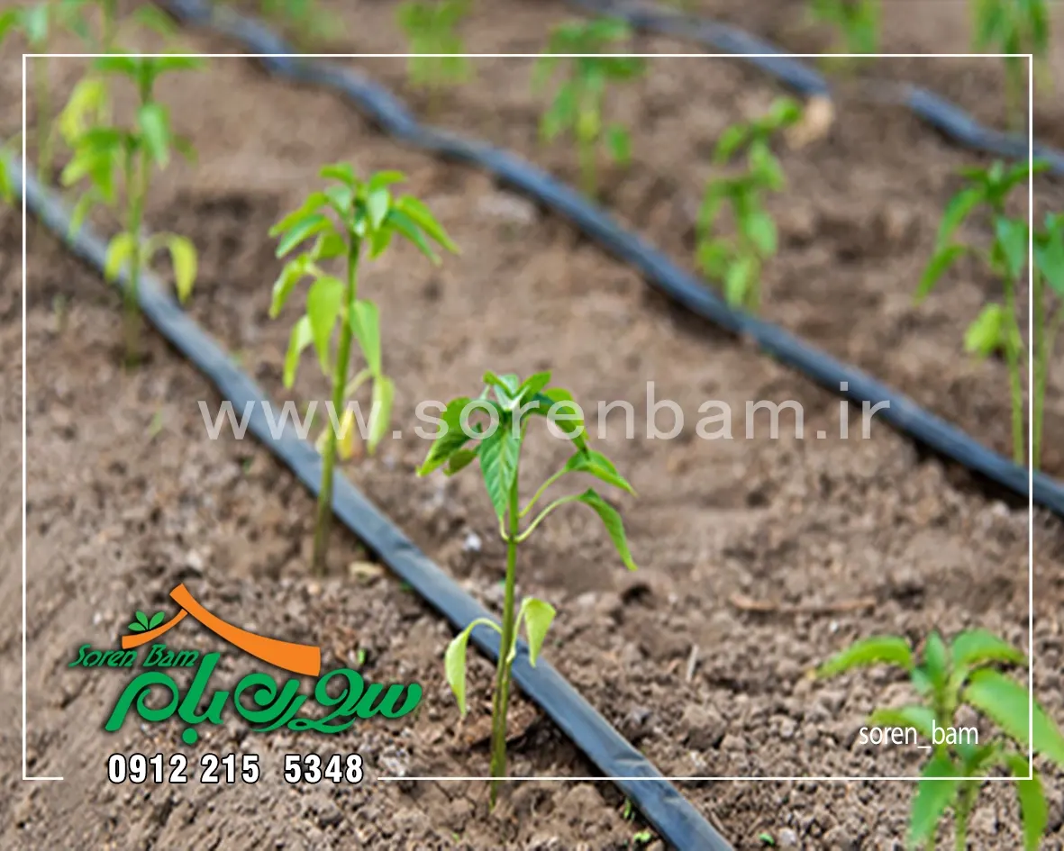 آبیاری قطره ای اتومات