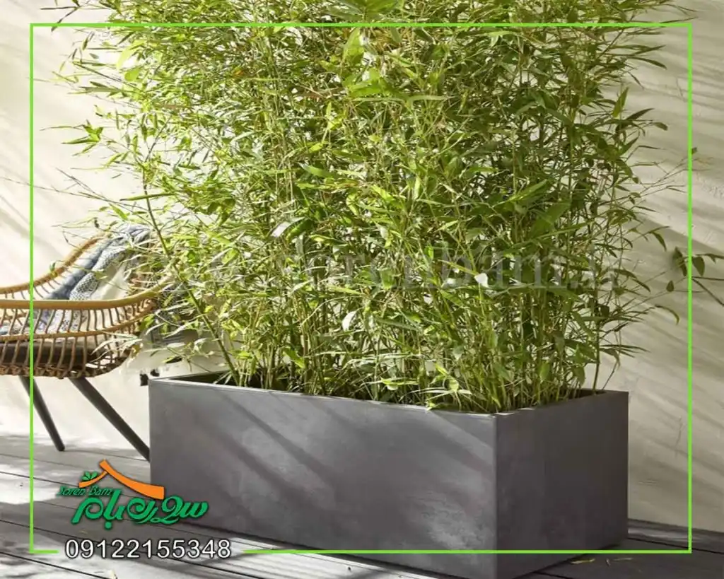 طراحی انواع فلاورباکس دیواری و زمینی