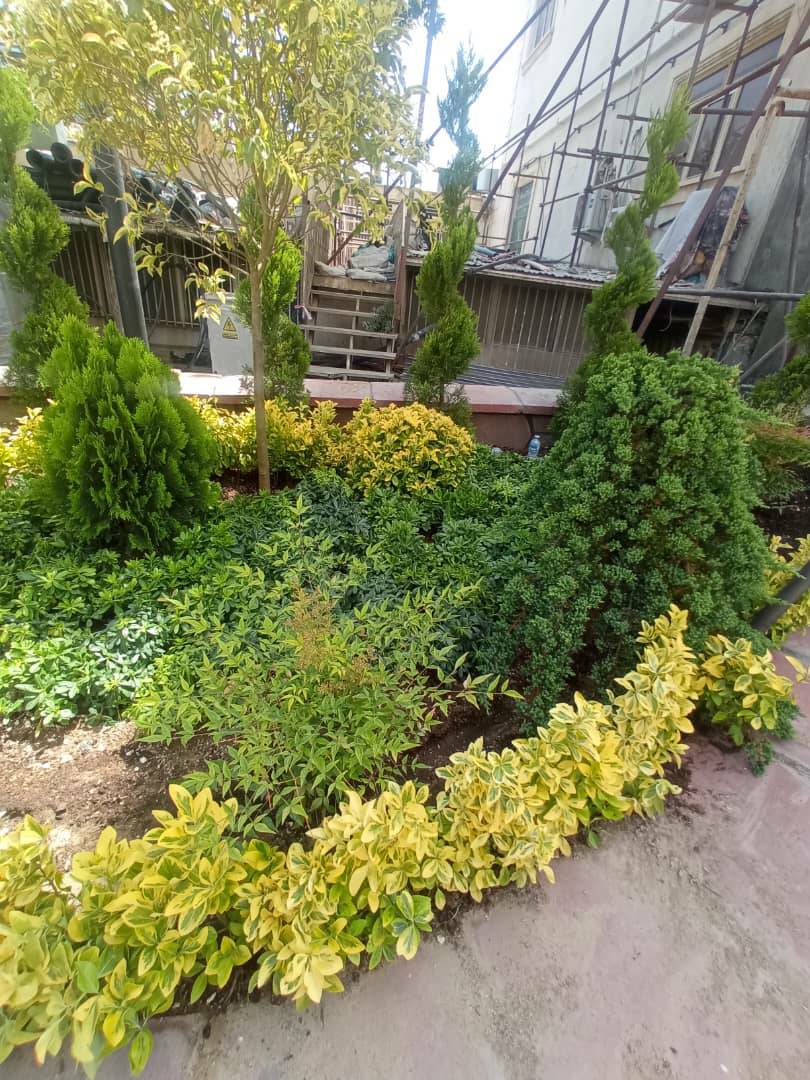 پروژه ی محوطه سازی تجریش