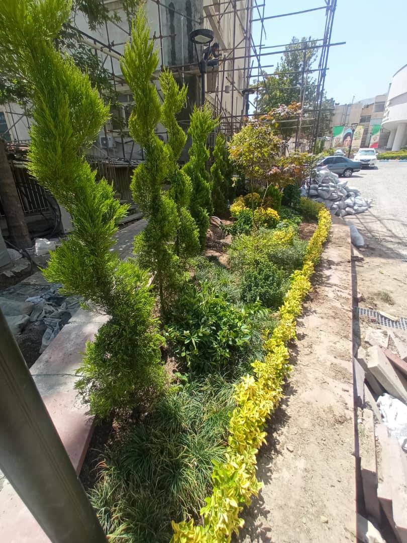 پروژه ی محوطه سازی تجریش