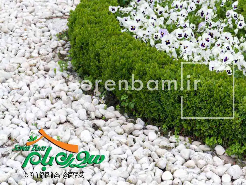 قلوه سنگ طبیعی