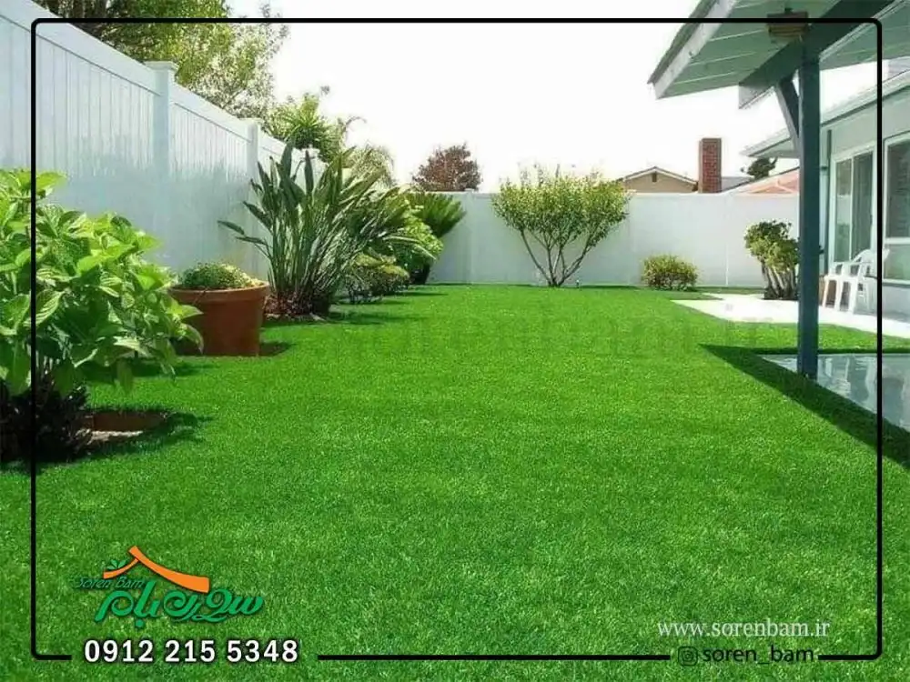 چمن طبیعی چایر اصلاح شده
