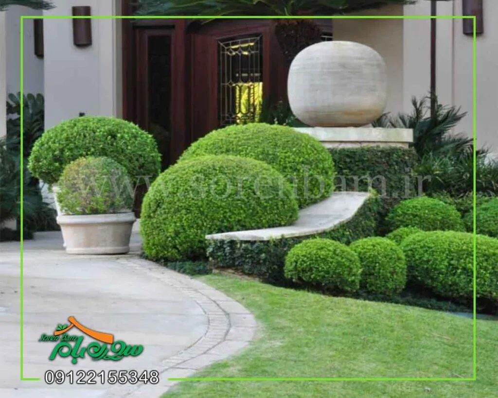 نگه داری چمن رولی طبیعی