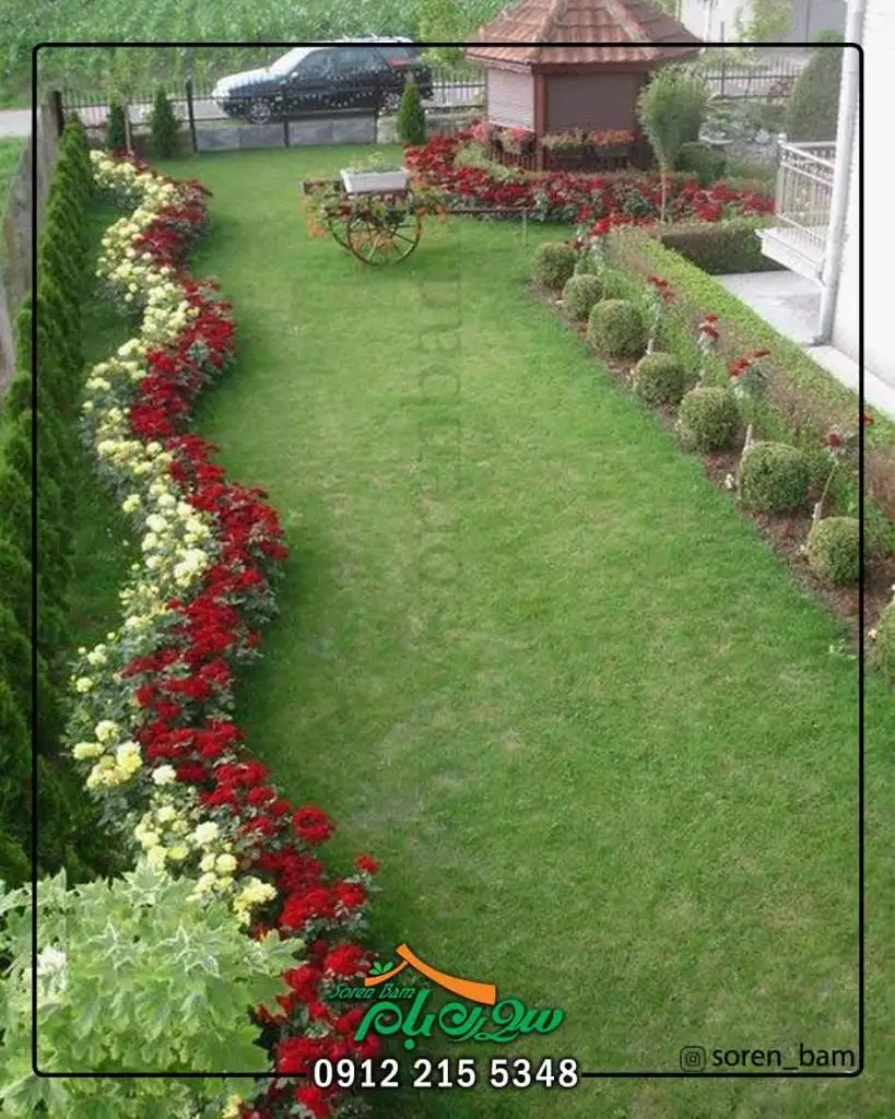 طراحی فضای سبز با چمن طبیعی