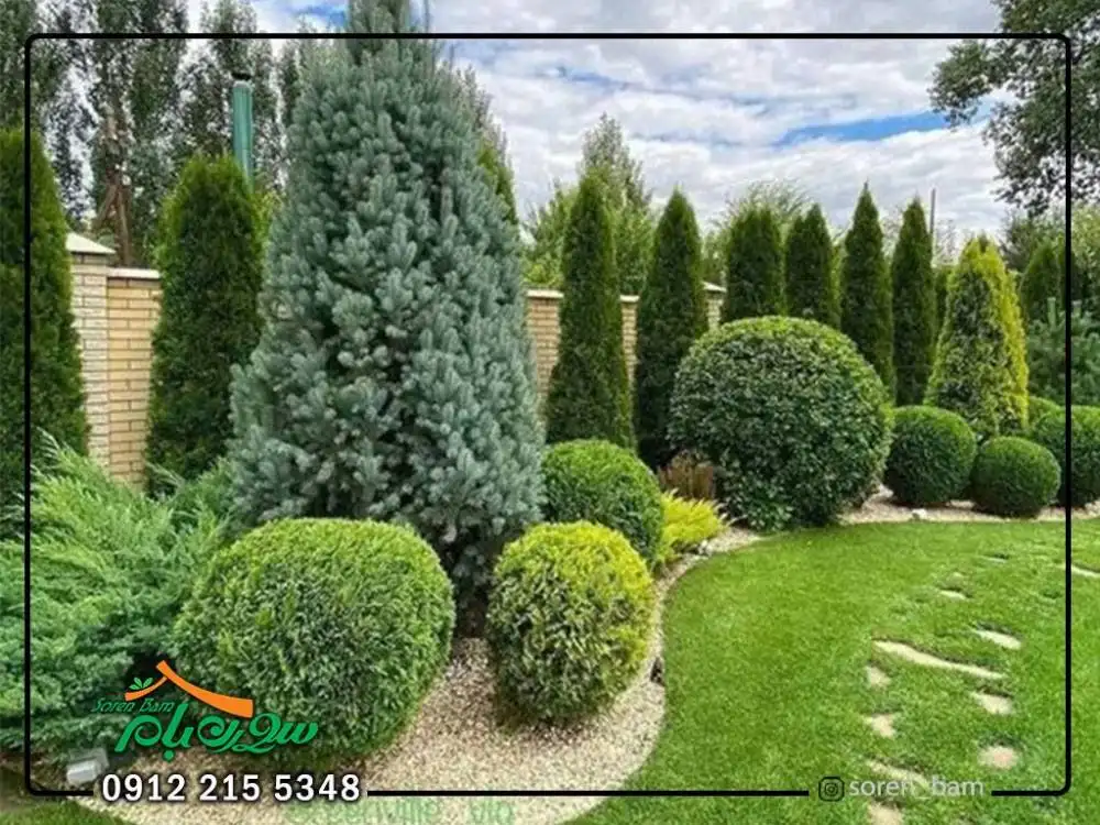 طراحی فضای سبز