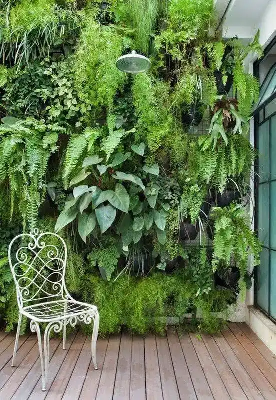 چگونگی انتخاب مکان مناسب برای دیوار سرخس