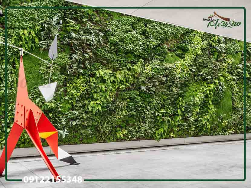 اهمیت نگهداری پس از اجرای دیوار سبز
