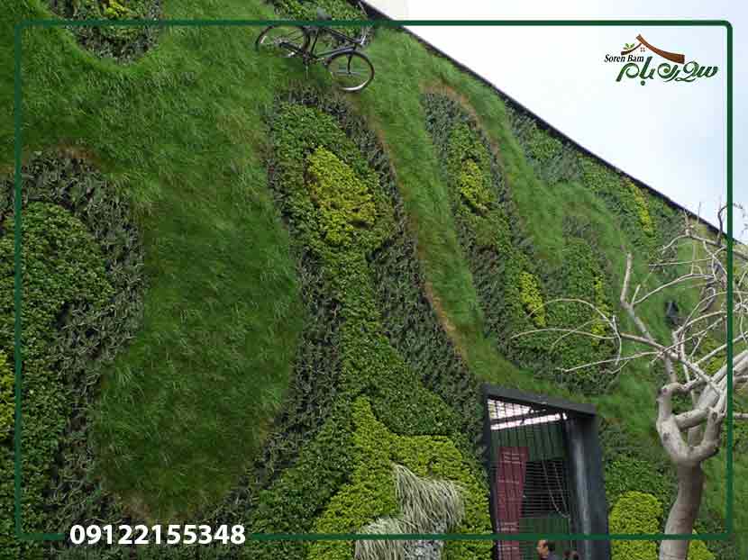 دیوار سبز چیست و چرا اهمیت دارد؟
