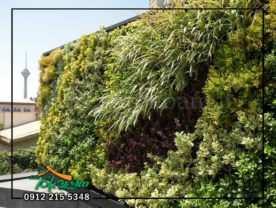 دیوار سبز برج افرا