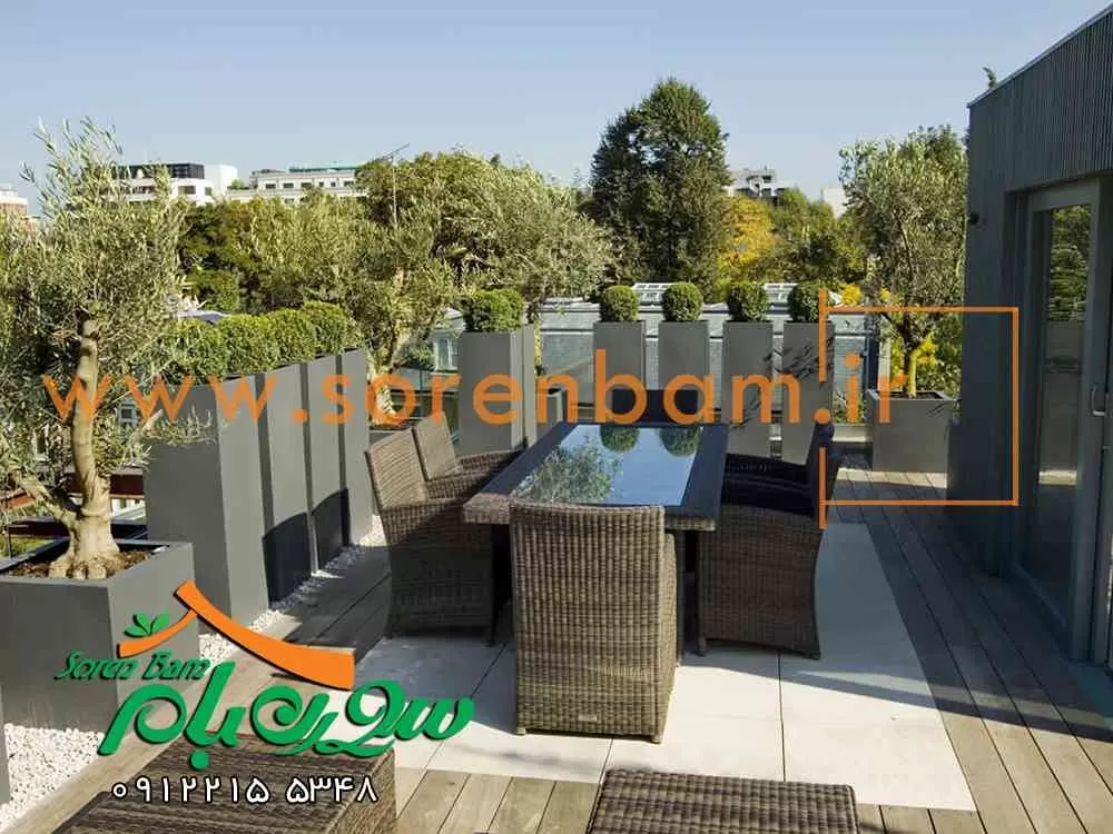روف گاردن پروژه ساعی