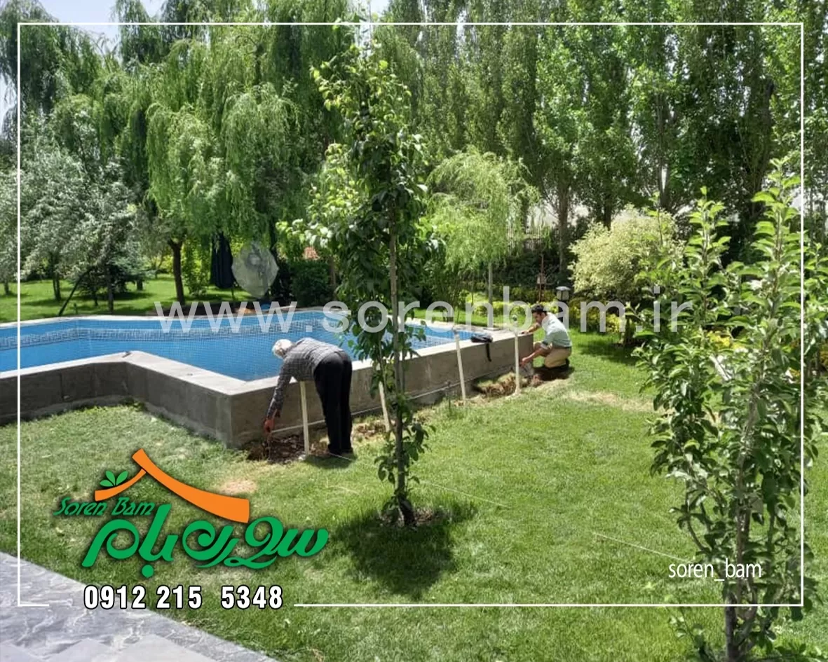 بازسازی استخر پروژه سبو در لواسان