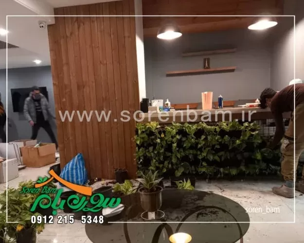 دیوار سبز طبیعی مطب زیبایی دکتر عطرلی