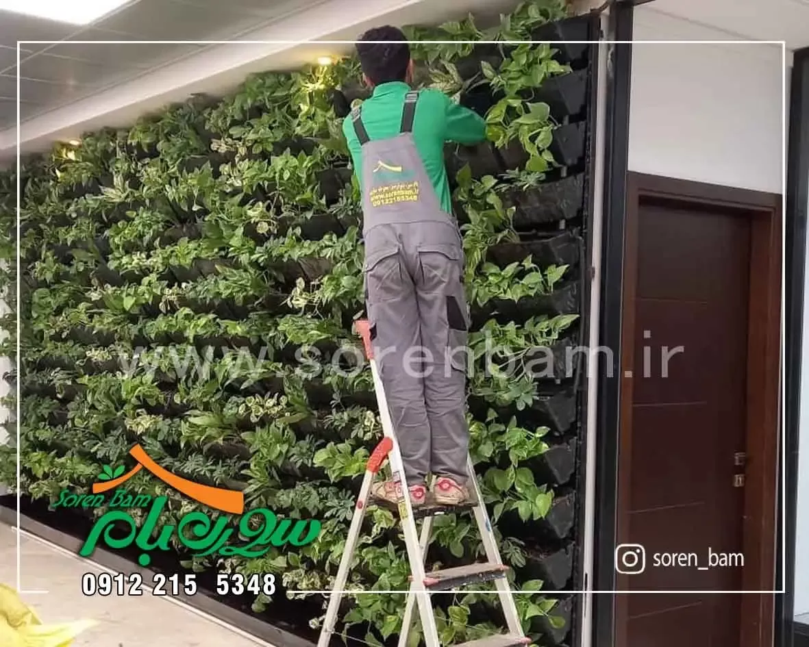 دیوار سبز صنایع غذایی کوروش