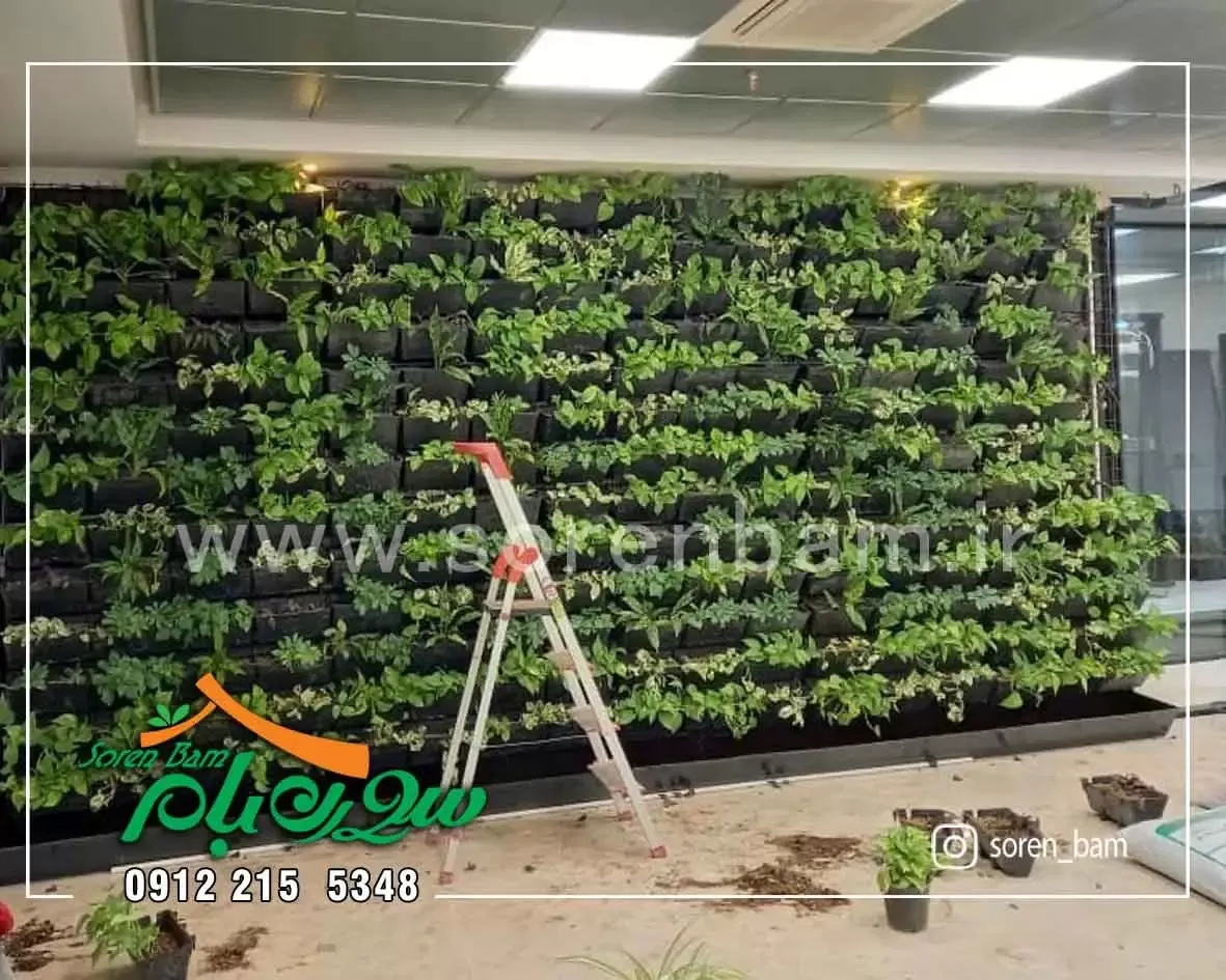 دیوار سبز صنایع غذایی کوروش