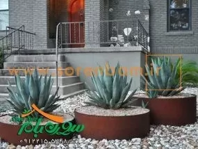 بام سبز یا باغ پشت بام