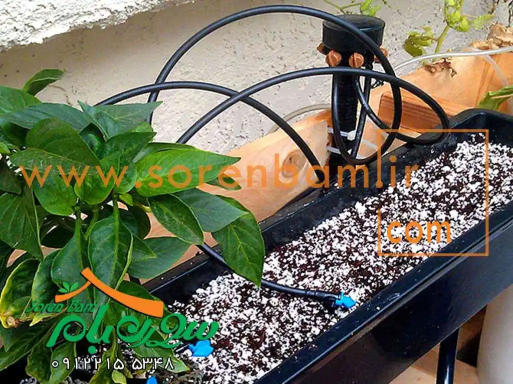 استفاده صحیح از ابیاری قطرهای در طراحی و اجرای آبیاری بام سبز