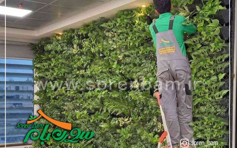 کاشت گیاهان دیوار سبز
