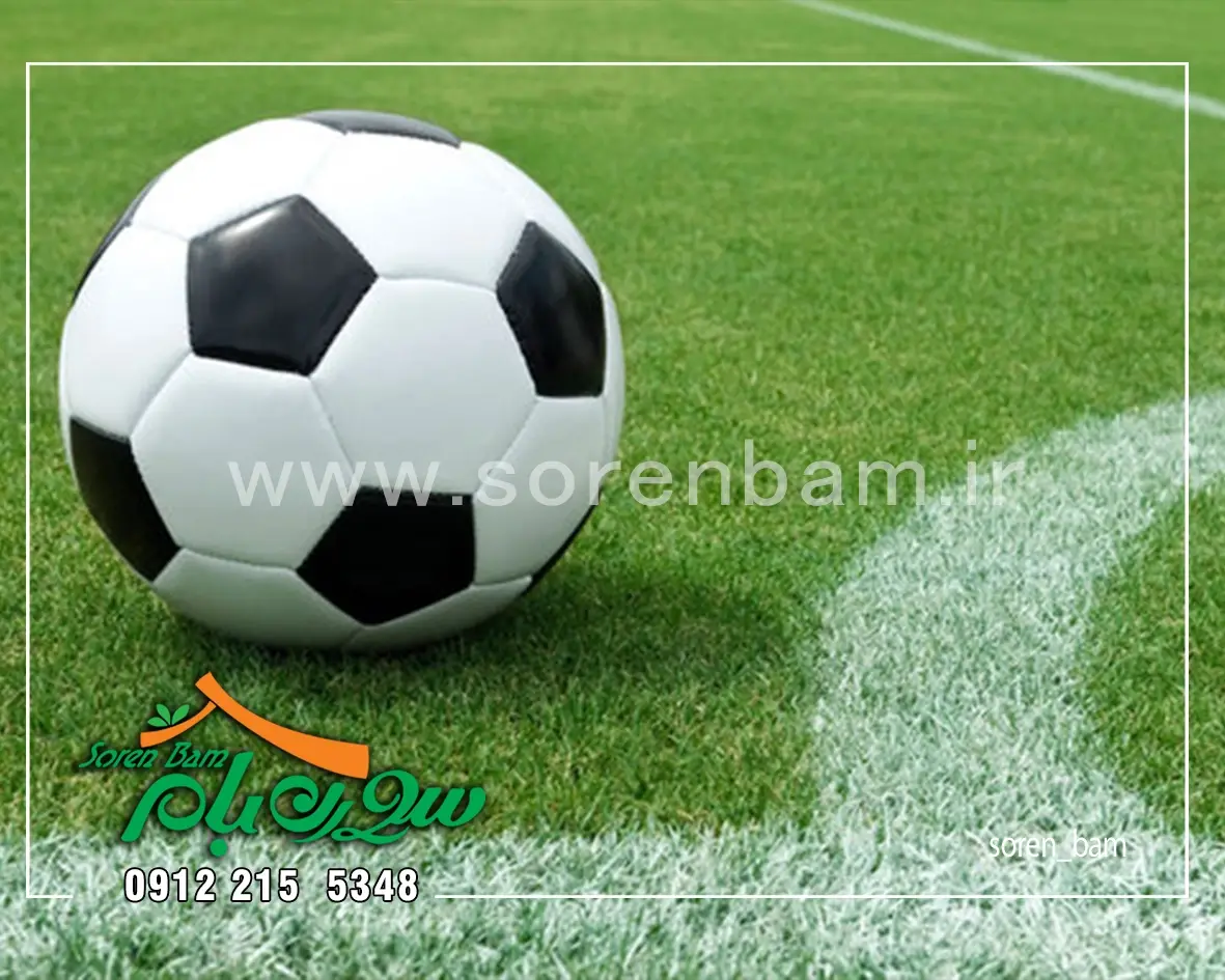 چمن کاری انواع کاشت چمن طبیعی