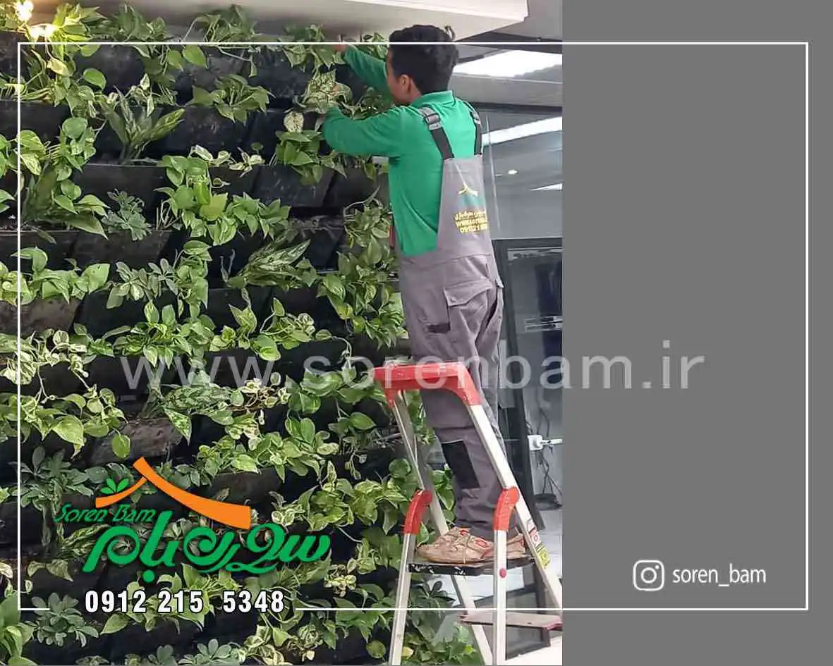 گلدان دیوار سبز فلاورباکس دیوار سبز