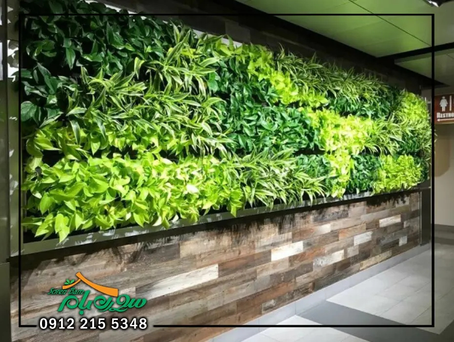 مزایای اجرای گرین وال در مازندران