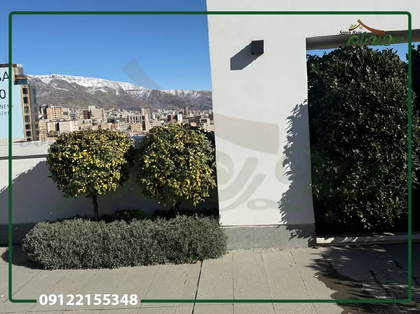 طراحی و اجرای روف گاردن