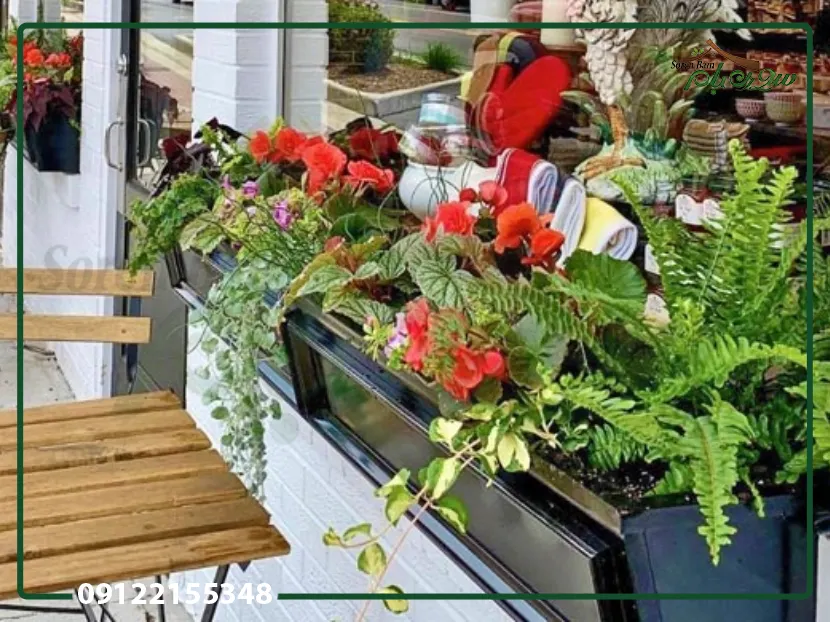 یخزدگی گیاهان بالکن