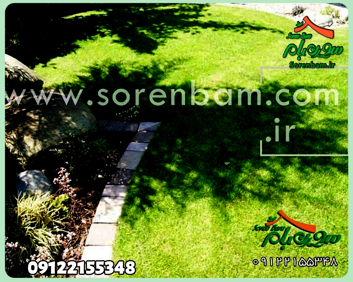 اجرای چمن طبیعی و مصنوعی